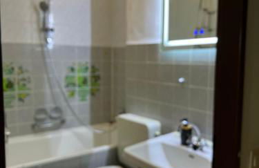 Sonnenblick Balkon Apt Netflix - Foto 23