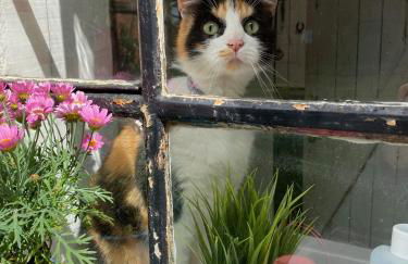 Appartement im alten Pferdestall - Foto 23