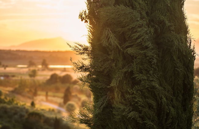 Agriturismo Musignano - Foto 52