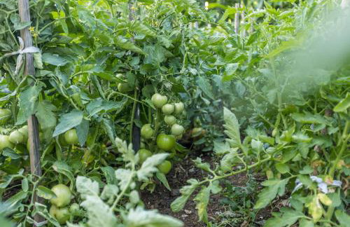 APARTMENTS ANA - Foto 73