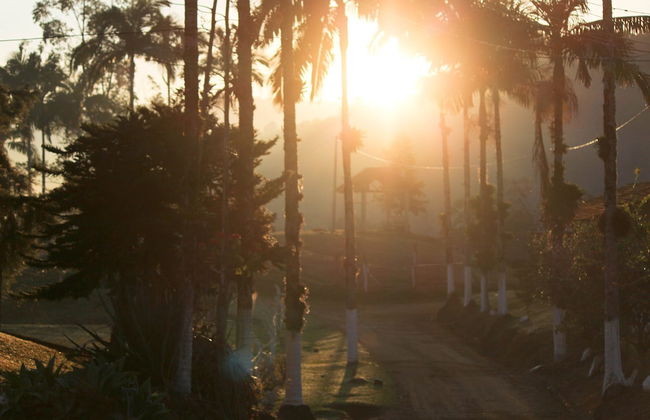 Hotel Fazenda Casarão do Vale - Foto 62
