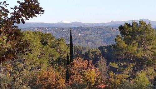 Appartement 3 pièces avec terrasse au soleil - Foto 2