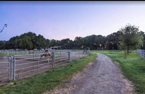 Sac Camp Delta Garden Retreat - Foto 10