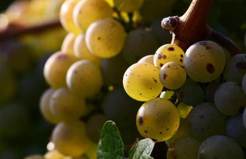 Ferienwohnung Ankerplatz - Foto 29