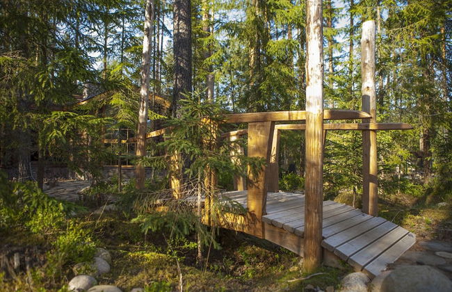 Shishki na Lampushke - Russkaya Derevnya - Foto 18