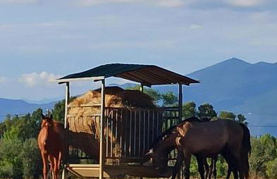 Podere il Giurato - Foto 9