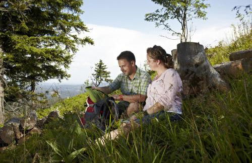 Aussicht auf Natur, Pool, Grill, Kino, Sauna - Foto 25