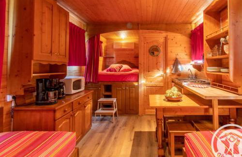 Roulotte climatisée avec piscine et jardin - FR-1-622-54 - Photo 21