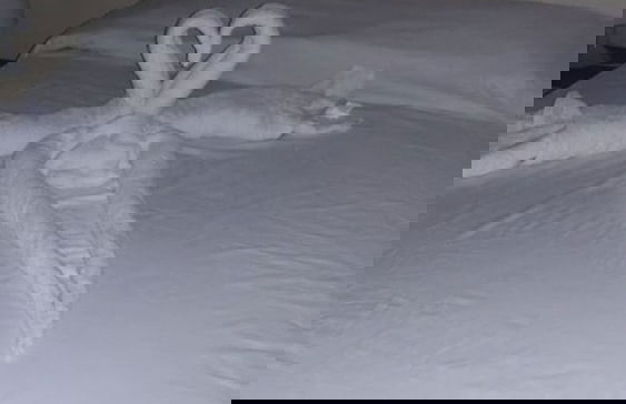 La Cruz de Colon Guest House - Photo 6