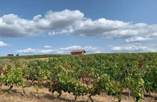 Les Sarments du Beaujolais, campagne proche Lyon - Foto 33