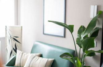 Jungle Apartment - Foto 5