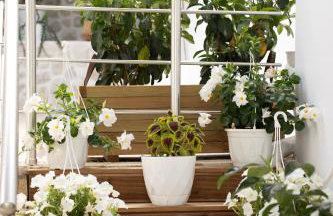 Leaves & Waves - Photo 62