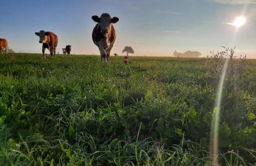 Heidi Away - Foto 11