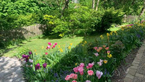 Kruemelkate - Foto 5