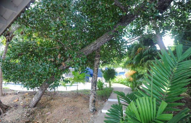 Tranquility Cove - Foto 34