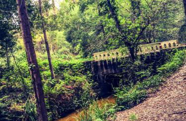 Golden Stone Beach Retreat - Foto 36