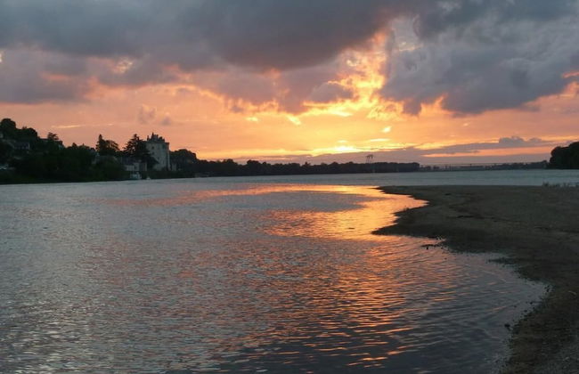 La Fauvette - Foto 14