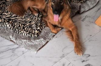 Holiday Home Finnhaus by Interhome - Foto 40