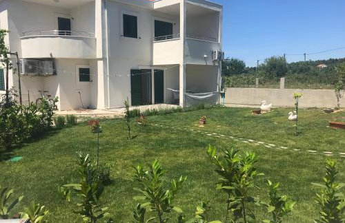 Apartments Franičević - Foto 2