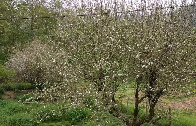Casa Rural Ikaztegieta - Foto 62