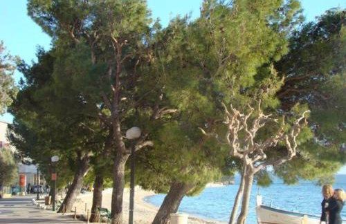 Apartment Martina Tučepi - Foto 15