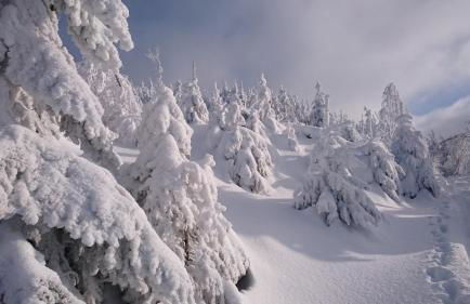 Ferienwohnung Dachs - Foto 31