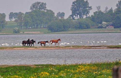 Apartment Gollwitzer Park - Insel Poel-7 by Interhome - Foto 32