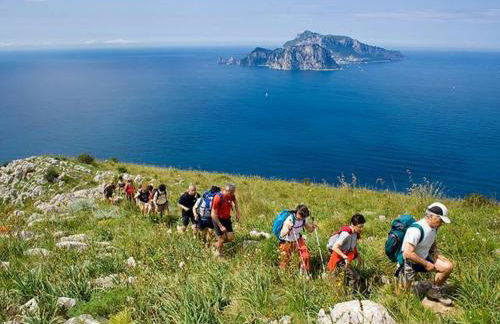 La zagara bianca - Photo 48