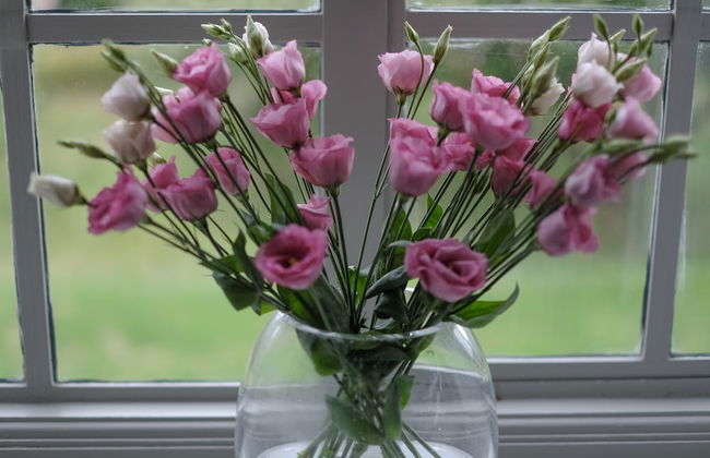 Orchard Cottage - Foto 24