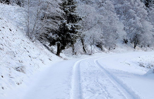 Log Cabin in Hasselfelde Near Harzer-hexen-stieg - Foto 12