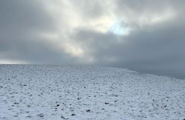 House with a View - Modernes Ferienhaus in der Eifel - Foto 34