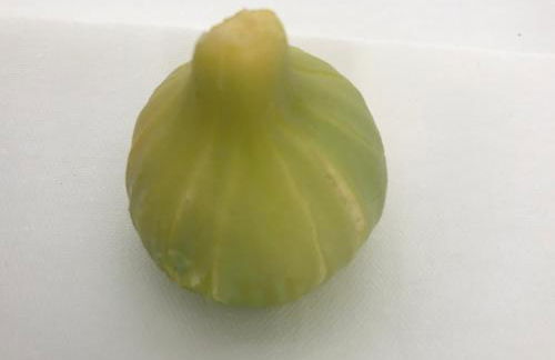 Ca Na Nina - Foto 26