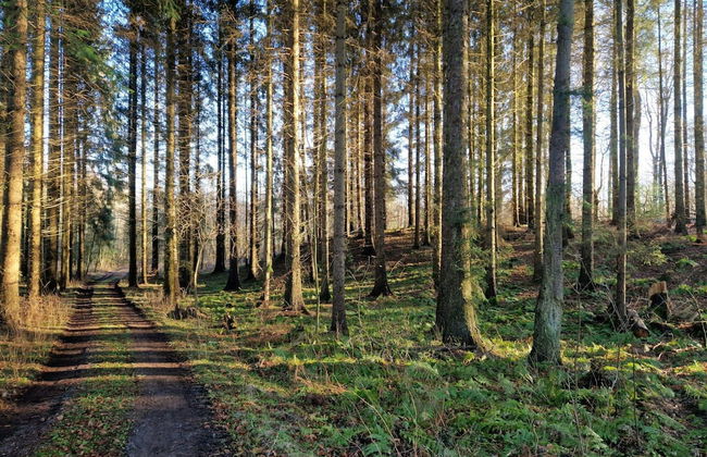 Seaside Haven With Spa - By Traum Ferienwohnungen - Foto 12