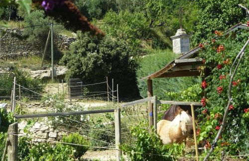 Cozy Vacation House With Pool, Vernegues - Foto 64