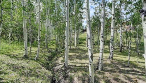 House of The Rising Sun - Foto 5