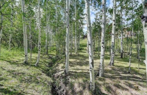 House of The Rising Sun - Foto 5