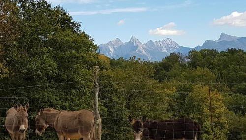 Agriturismo La Selva - Foto 2