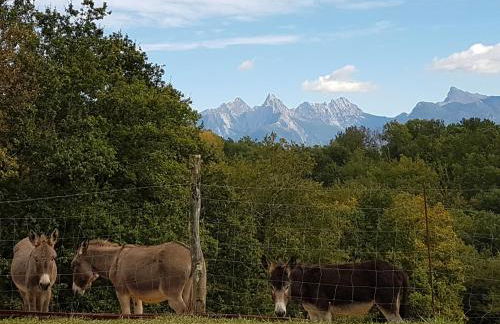 Agriturismo La Selva - Foto 2