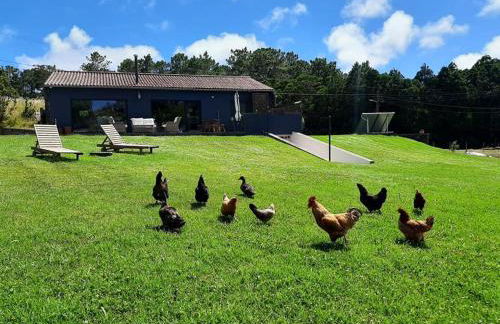 Quinta de São José - Foto 63