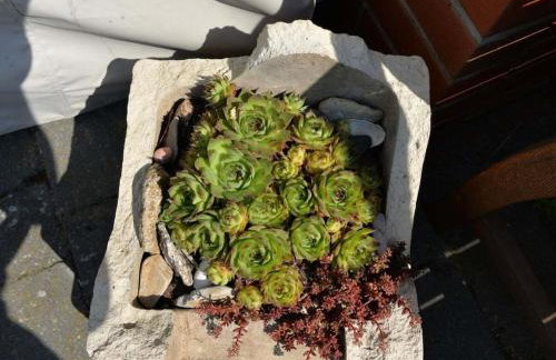 Holiday home in Ückeritz with swimming pool - Foto 28