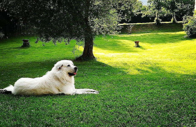 Agriturismo Campo al Sole - Foto 34