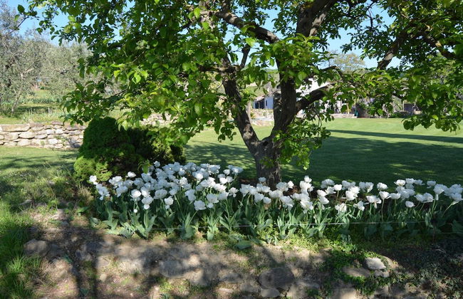 Belvilla by OYO Fiore - Foto 24