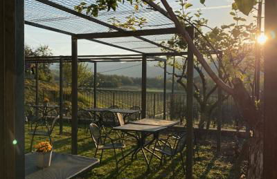 Agriturismo Ca' Cristane - Foto 13