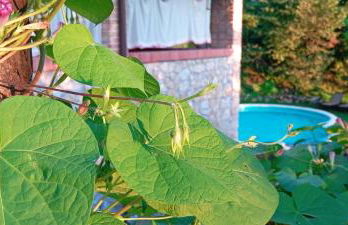 Holiday Villa in Sabina with Private Pool - Foto 45