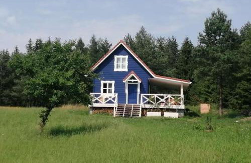 Święty Spokój Łąka i Woda - Foto 16