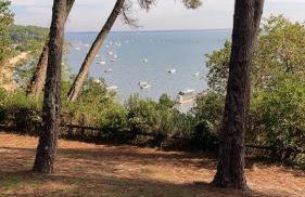 :Le tchanqué du bassin d'arcachon - Foto 19