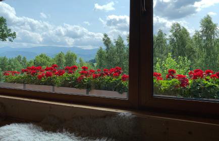 Apartament Hakerówka - Foto 29