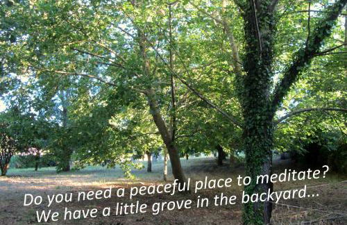 Casa do Paço Aveiro - HolidayHome - Foto 38