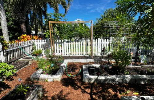 Maria's Los Cirhuelos - Foto 8