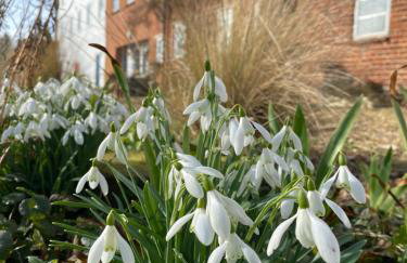 Waterside, Elmham Watermill, Norfolk - Foto 26